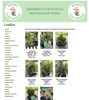 Reiska Plant Nursery
